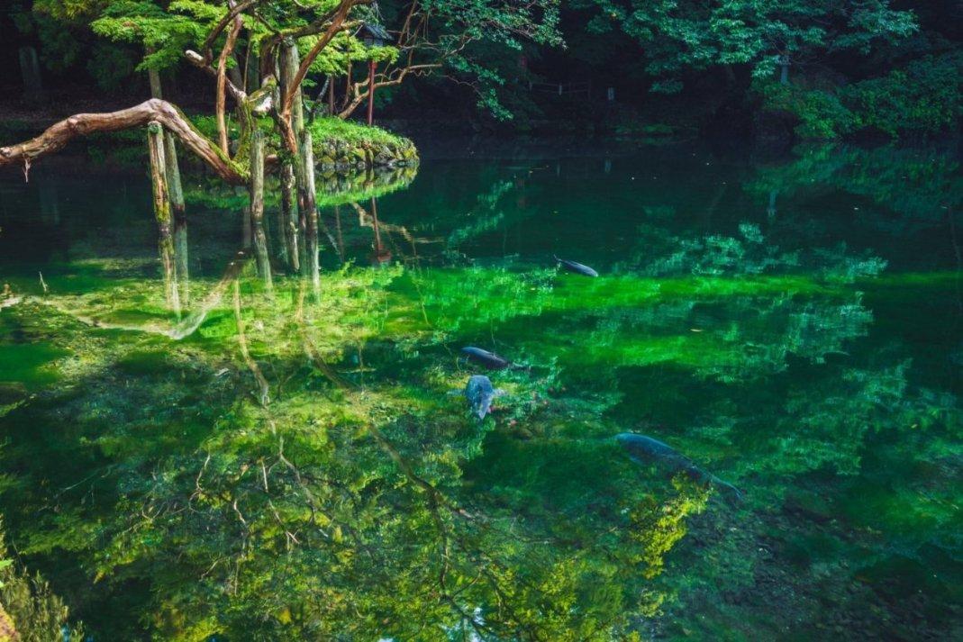 造物法则