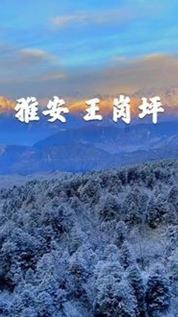 骗子的谎言