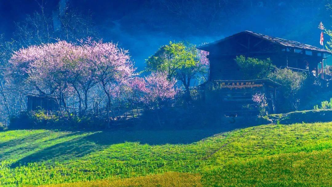 量子破碎