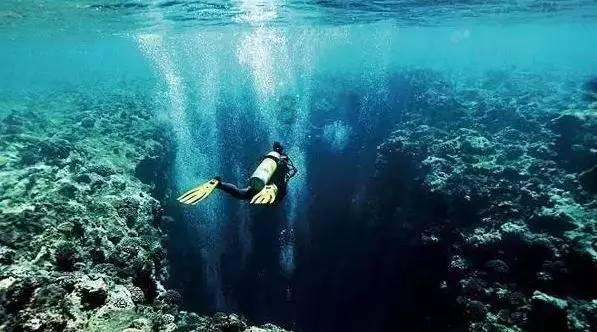 校园追星变形记