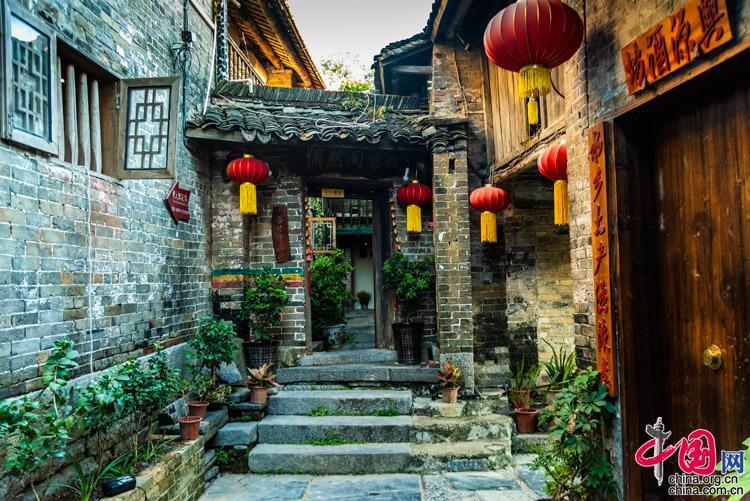 僵尸顶顶乐