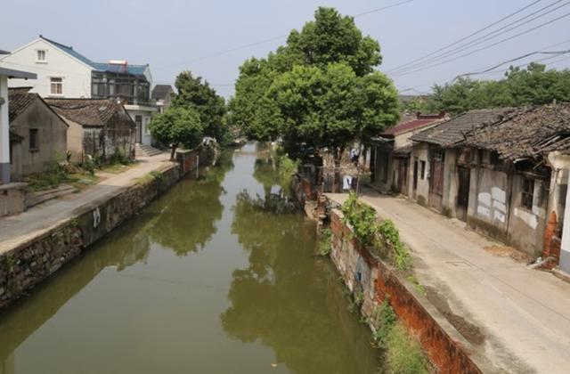 悬崖跳水运动
